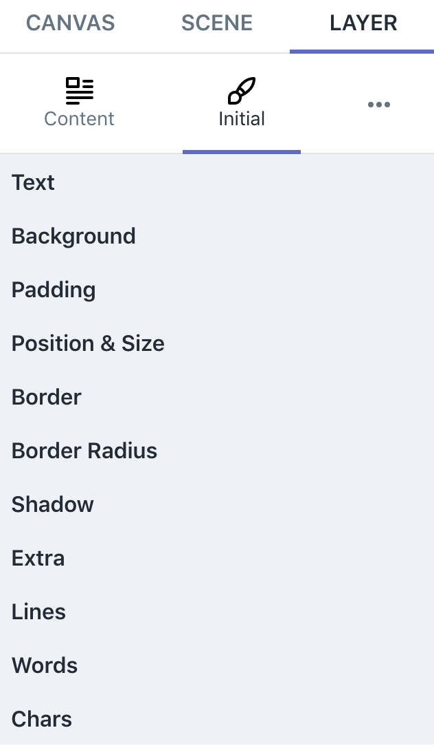 layer intial styles settings